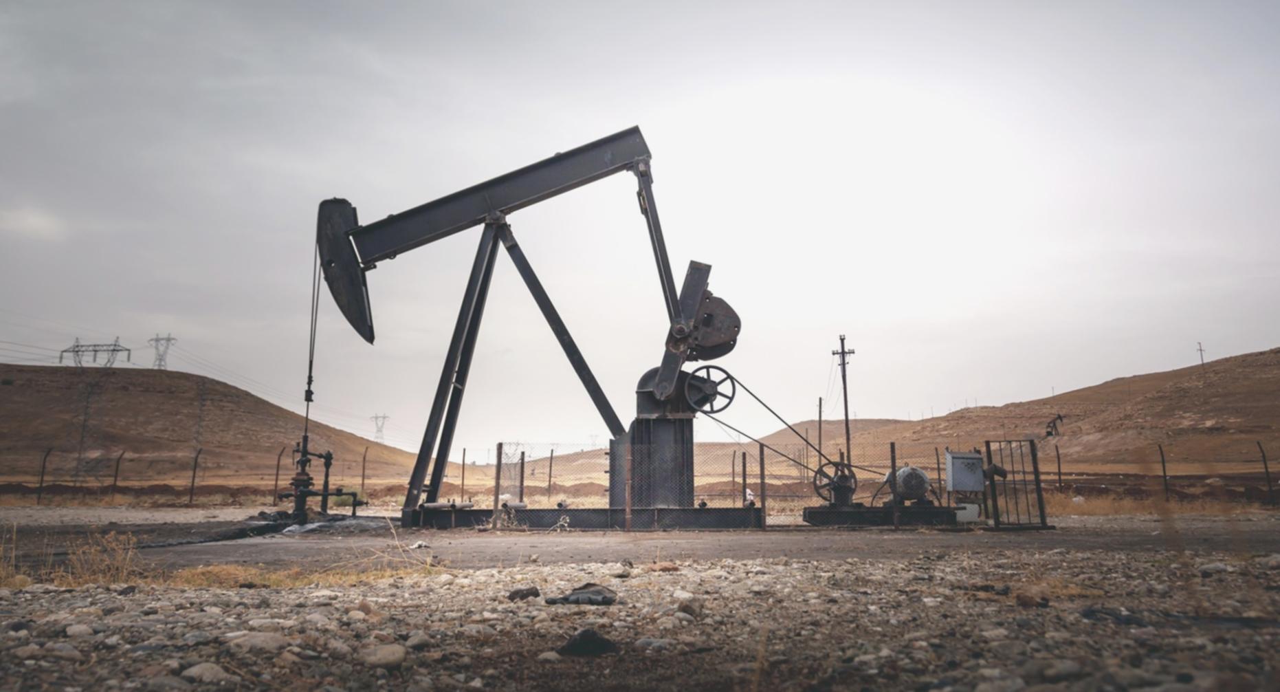 Professional petroleum geology documentation